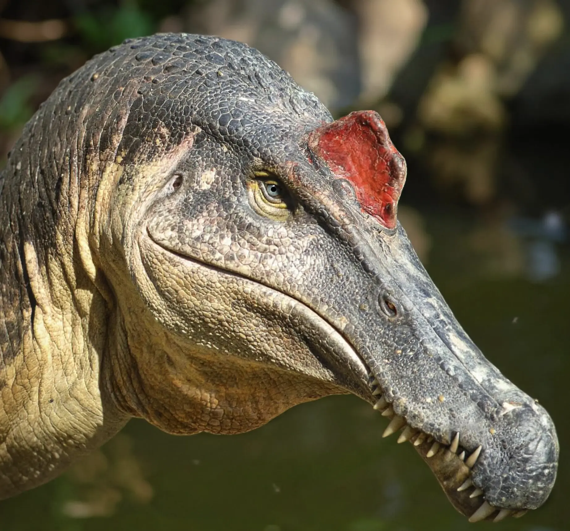 crocodiles actual dinosaurs
